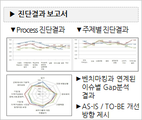 진단결과보고서 : Process 진단결과, 주제별 진단결과, 벤치마킹과 연계된 이슈별 Gap 분석결과, AS-IS / TO-BE 개선 방향 제시