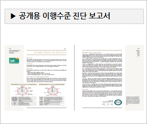 공개용 이행수준 진단 보고서 샘플 사진